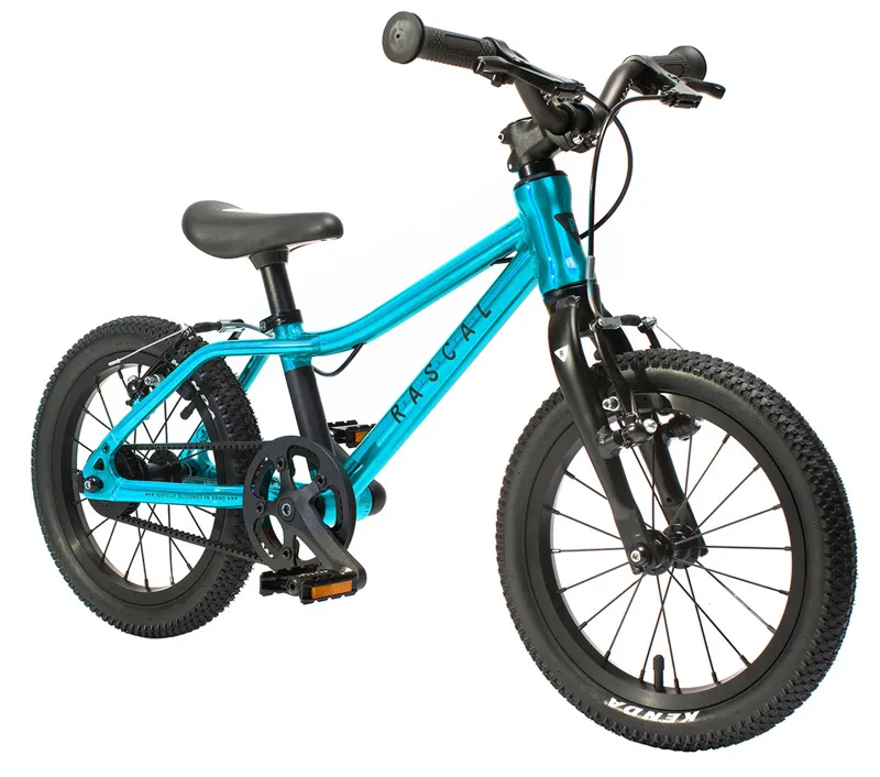 Rascal 14 inch Wheel Kids Bike 2021 in Aquamarine-1
